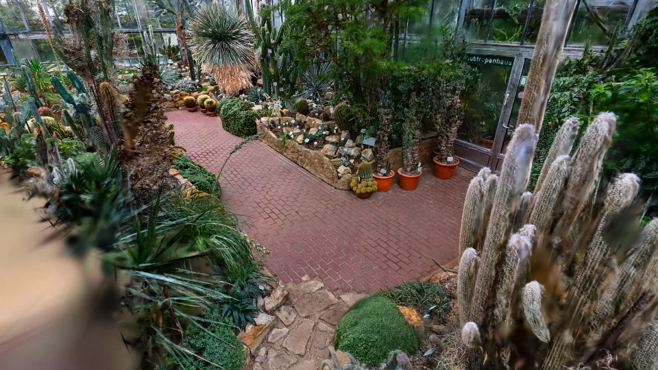 Botanical Garden
